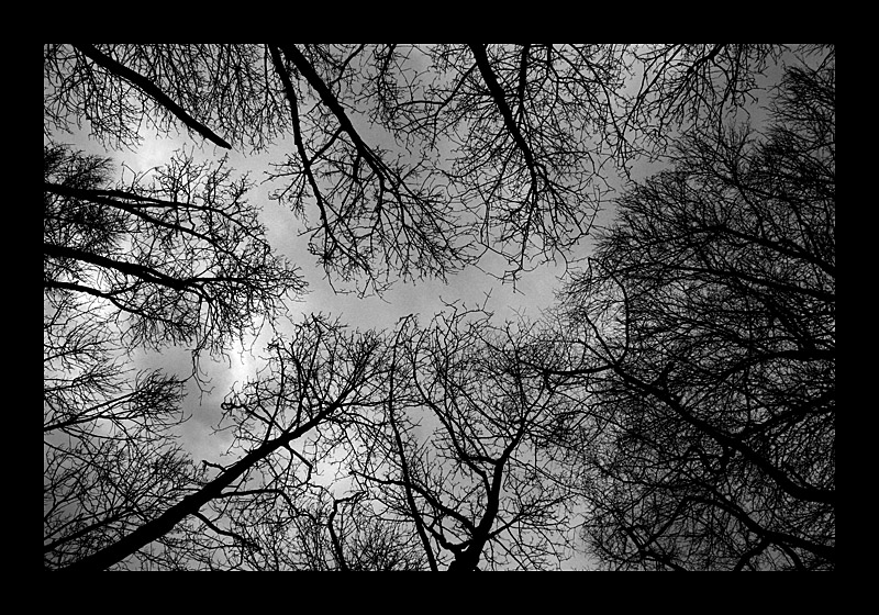 Winter ... eine Zeit der Kälte, Dunkelheit und schwarz-weiß Fotografie (01.02.2009, Bochum - Canon EOS 1000D)