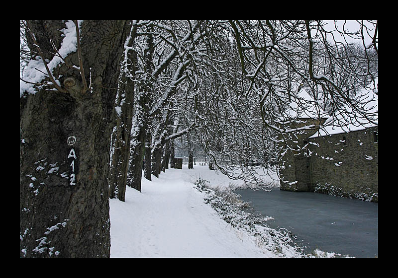 "Winterwonderland" (03.01.2010, Burg Kemnade, Bochum - Canon EOS 1000D)