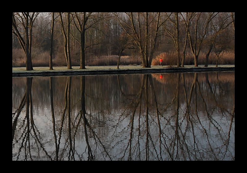 Der Läufer (28.11.2010, Ümminger See, Bochum, Canon EOS 7D)