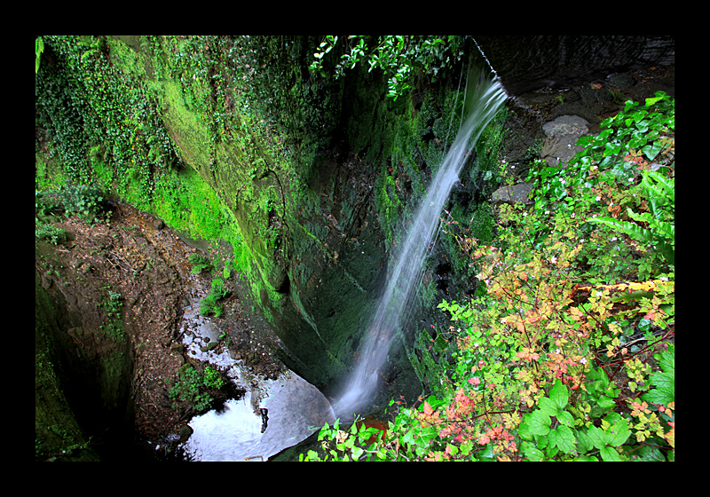 Nicht Neuseeland (02.08.2011, Shanklin Chine Historic Gorge, UK, Canon EOS 7D)