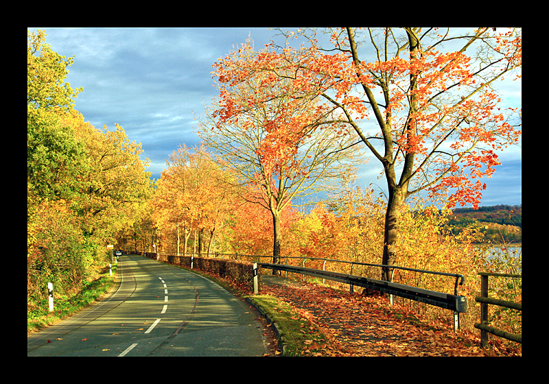 Herbststimmung (29.10.2011, Möhnesee - Canon EOS 7D)