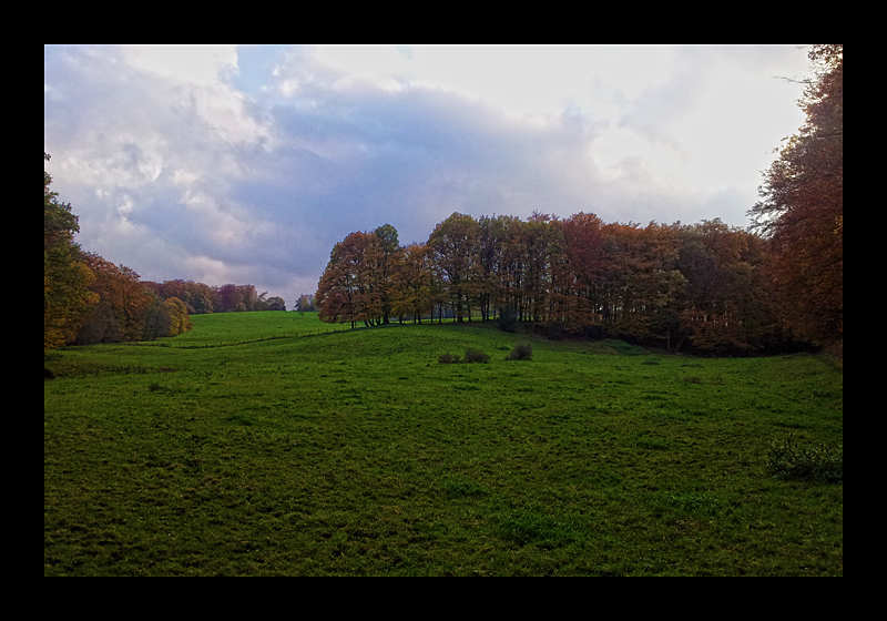 Geocaching in traumhafter Landschaft (30.10.2011, Haßlinghausen - Samsung Galaxy S2)