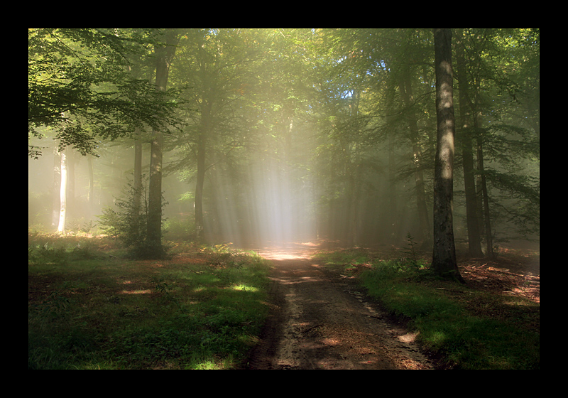 Pfad der Sonne (30.09.2012, Müllerthal, Luxemburg - Canon EOS 7D)