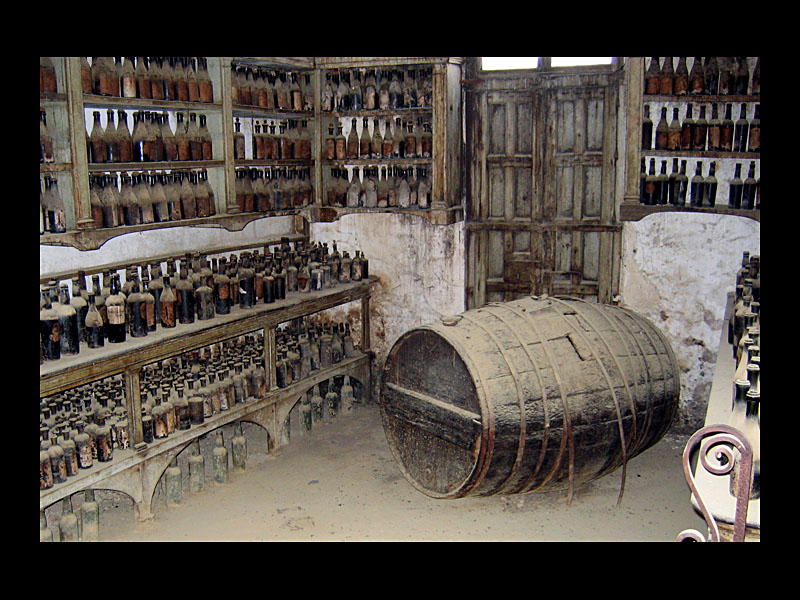 Altes Labor (Bodega Gonzales Byass, Jerez - Canon PowerShot A 95)