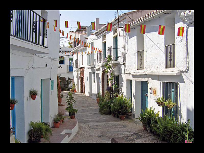 Festschmuck (Frigiliana - Canon PowerShot A 95)