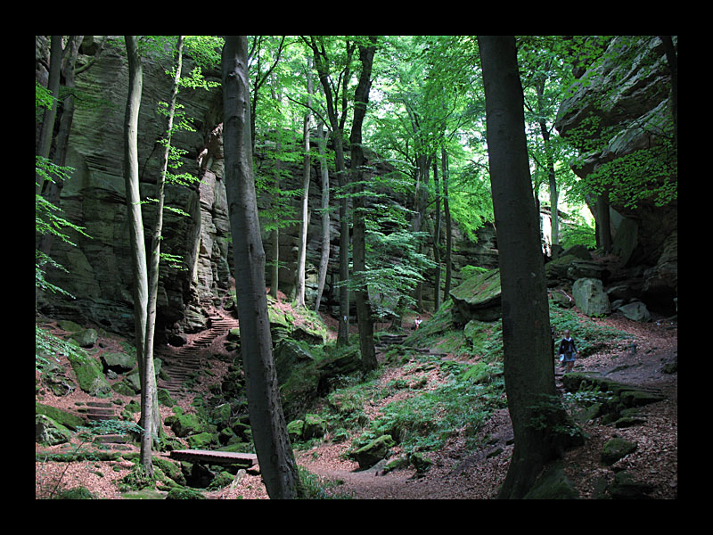 Wanderparadies (Mullerthal, Luxemburg - Canon PowerShot A 640)