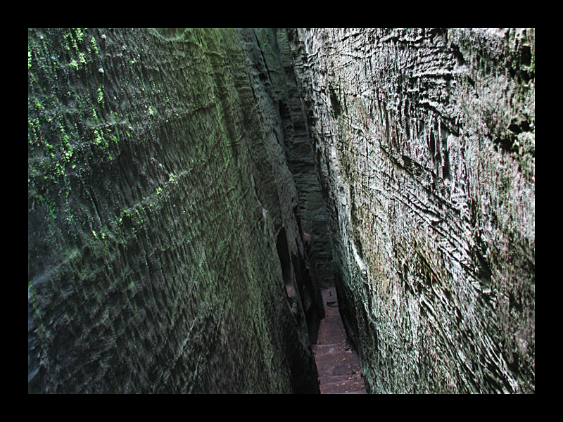 Hohle Gasse (Mullerthal, Luxemburg - Canon PowerShot A 640)