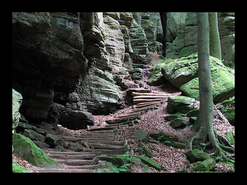 Stufen (Mullerthal, Luxemburg - Canon PowerShot A 640)