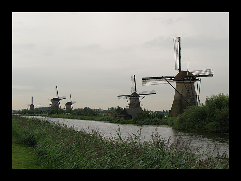 Weltkulturerbe (Kinderdijk - Canon PowerShot A 640)