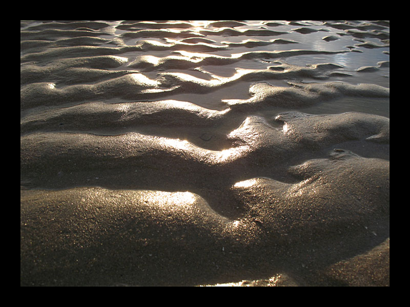 Strand (Zandvoort - Canon PowerShot A 640)