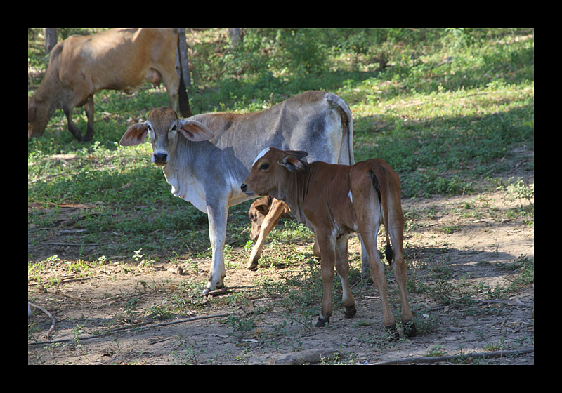 2014_02_02-08_brasilien_314