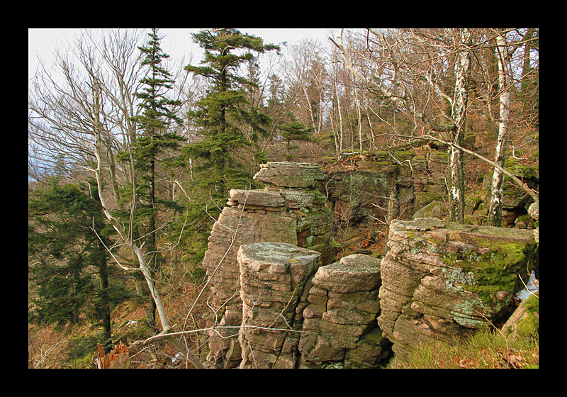 Felslandschaft (beim alten Schloss, Baden-Baden - Canon EOS 7D)