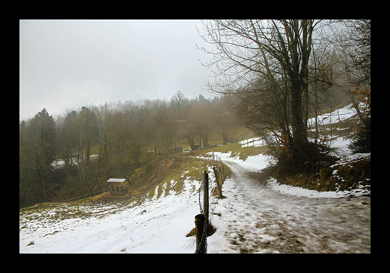 Nebelberg (Pfänder, Bregenz - Canon EOS 7D)