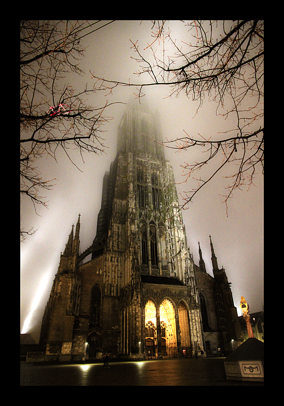 Ulmer Münster (Ulm - Canon EOS 7D)