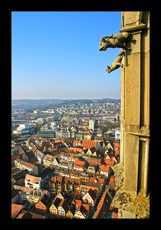 Schwindelfrei (Ulmer Münster, Ulm - Canon EOS 7D)