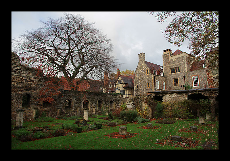 Garten (Canterbury, England - Canon EOS 7D)