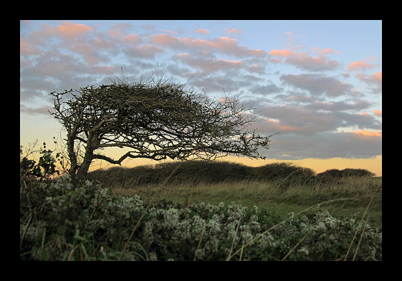 Woher weht der Wind? (Beachy Head, England - Canon EOS 7D)