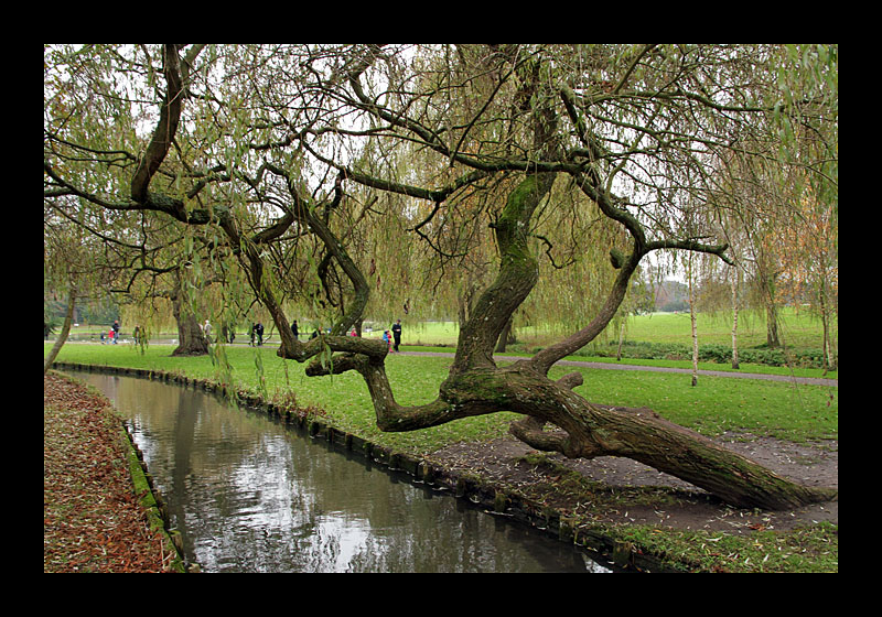 Horizontaler Wuchs (Leeds Castle, England - Canon EOS 7D)