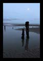 29_winchelsea_beach_116