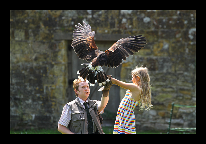 Landungsanflug (Battle, England - Canon EOS 7D) 