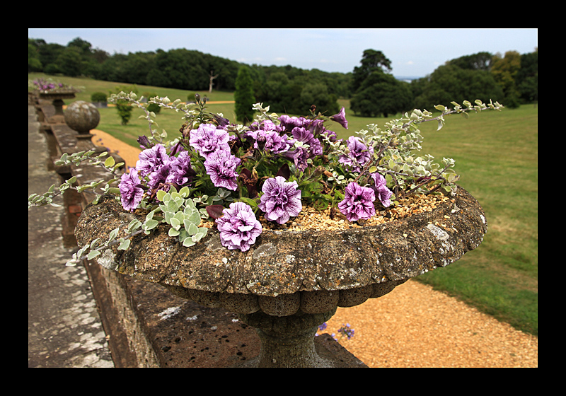 Blumenkübel (Osborne House, Isle of Weight,, England - Canon EOS 7D) 