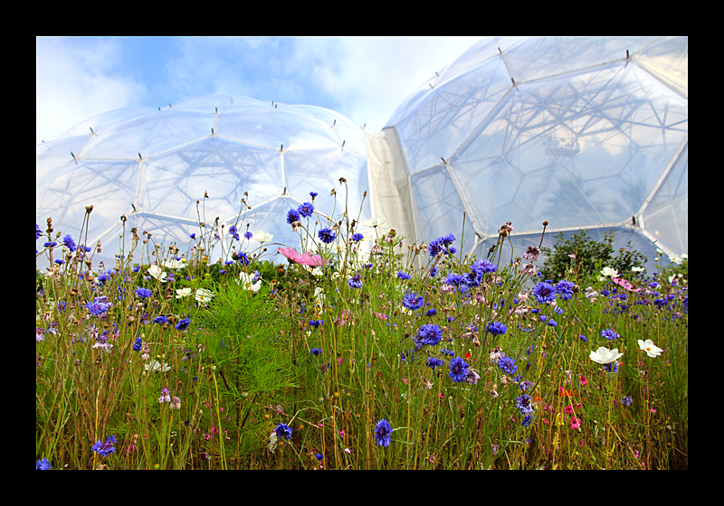 Gewächskuppeln (Eden Project, England - Canon EOS 7D) 