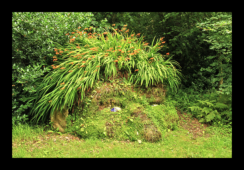 Troll (Lost Gardens of Heligan, England - Canon EOS 7D) 