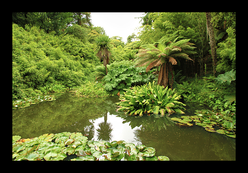 Klein-Neuseeland (Lost Gardens of Heligan, England - Canon EOS 7D) 