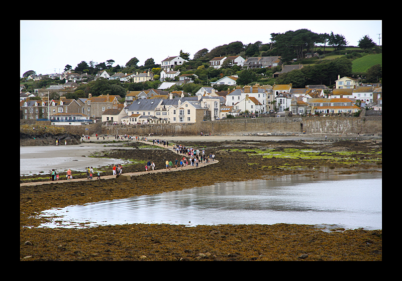 Ebbe (St. Michael's Mount, England - Canon EOS 7D) 