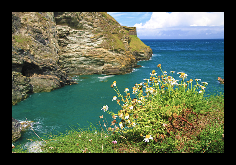 Cornwall (Tintagel Castle, England - Canon EOS 7D) 