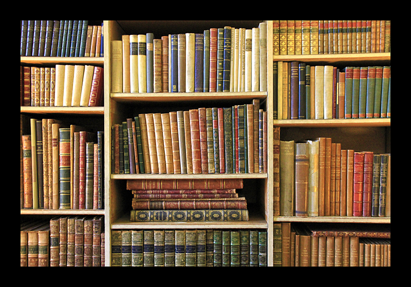 Bücherregal (Leeds Castle, England - Canon EOS 7D) 