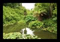 14_lost_gardens_heligan_039