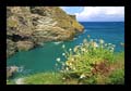 21_tintagel_castle_023