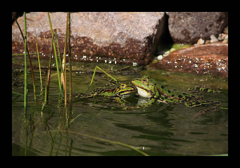 Atempause (Petersroda - Canon EOS 1000D)