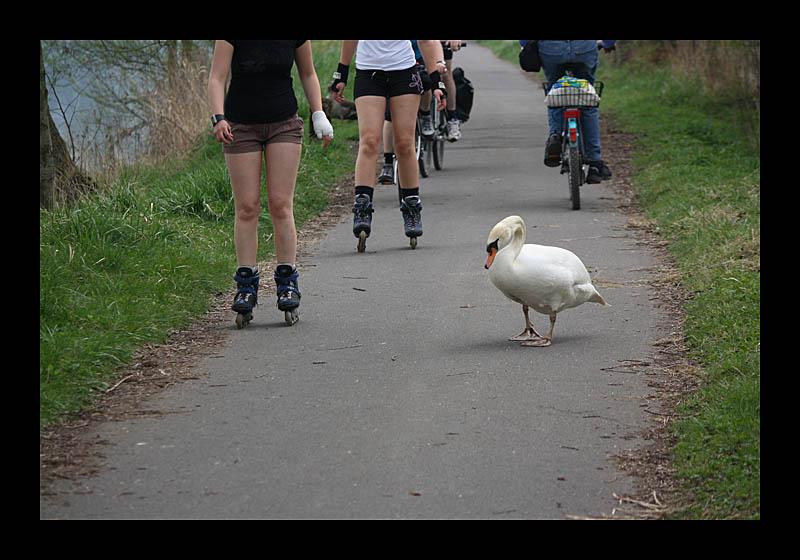 Besser Abstand halten (Leinpfad, Bochum-Dahlhausen - Canon EOS 1000D)