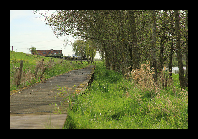 Auf dem Cachewalk - 20 km, 52 Geocaches, 7,5 Stunden (Bei Grammene - Canon EOS 7D) 