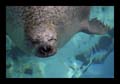 2009_04_15_tierpark_162