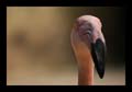 2009_04_15_tierpark_221