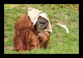2011_04_17_zoo_dortmund_121