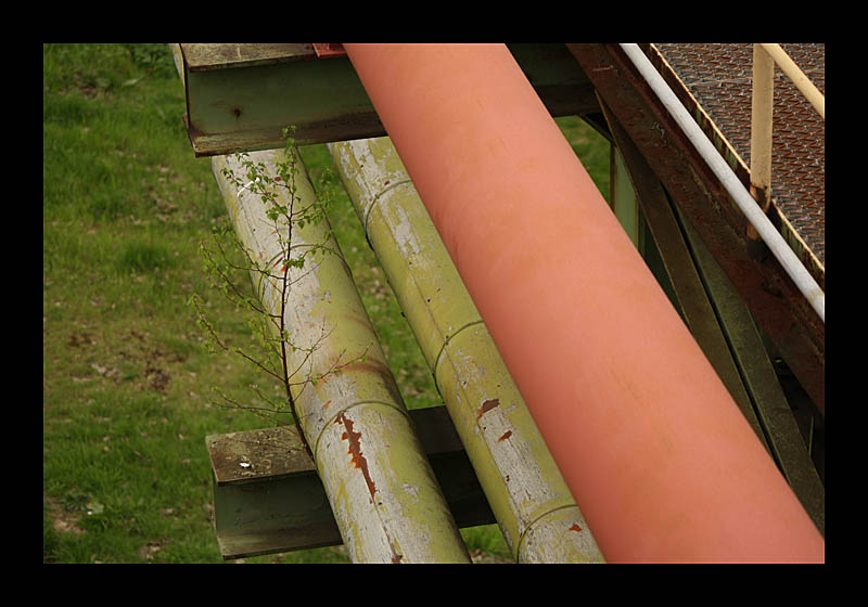 Industriekultur (Jahrhunderthalle, Bochum - Canon EOS 1000D)