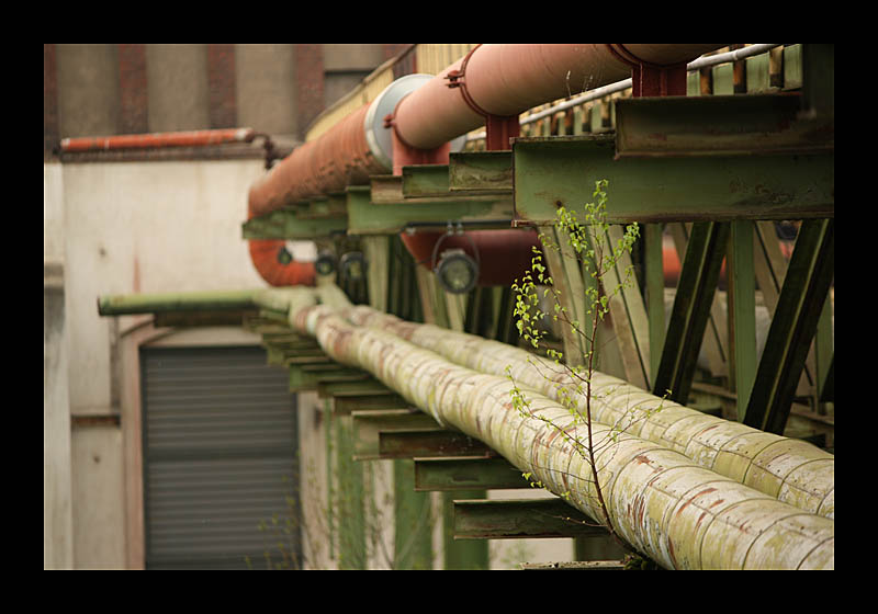 Industriekultur (Jahrhunderthalle, Bochum - Canon EOS 1000D)