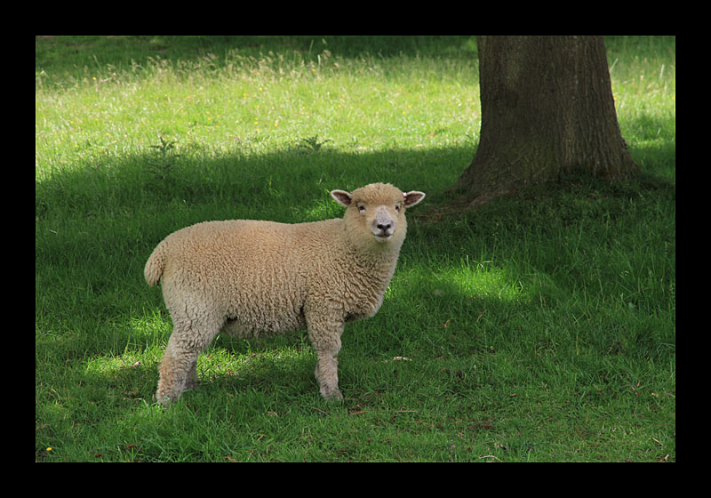 Sissinghurst Castle Gardens (England - Canon EOS 7D)