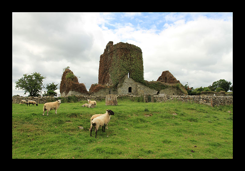 Lost Town of Jerpoint (Irland - Canon EOS 7D)