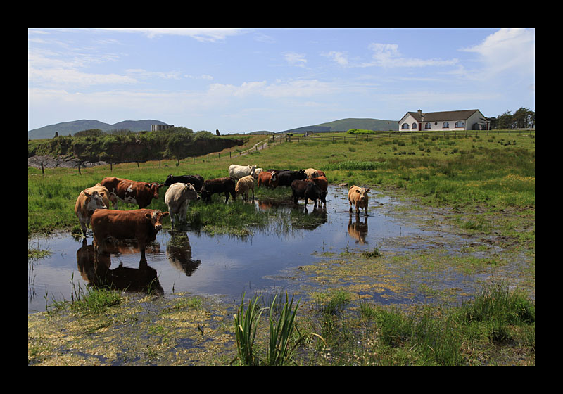 Ring of Kerry (Irland - Canon EOS 7D)