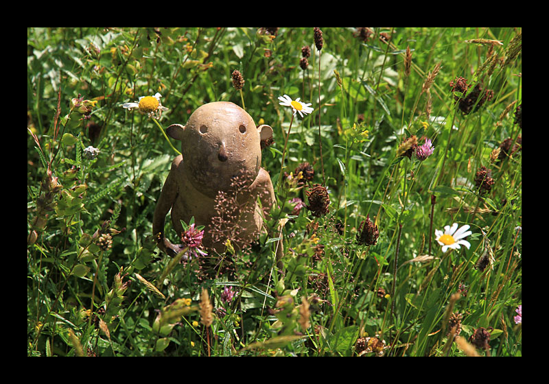 Brigits Gardens (Irland - Canon EOS 7D)