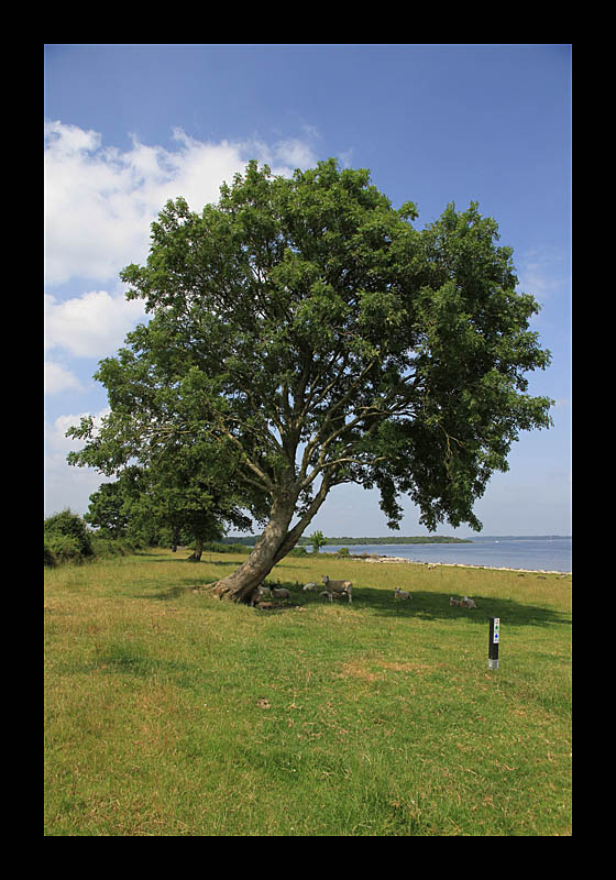 Rinn Duin Walk (Irland - Canon EOS 7D)