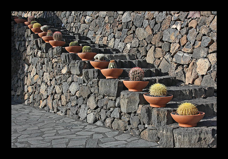 Kakteentreppe (Kaktusgarten, Lanzarote - Canon EOS 1000D)