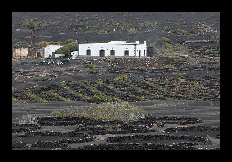 Weinbau (La Geria, Lanzarote - Canon EOS 1000D)