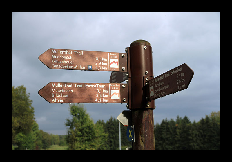 Hier geht's rund (Müllerthal-Trail, Luxemburg - Canon EOS 7D)