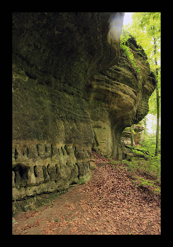 Felsritzungen (Müllerthal-Trail, Luxemburg - Canon EOS 7D)